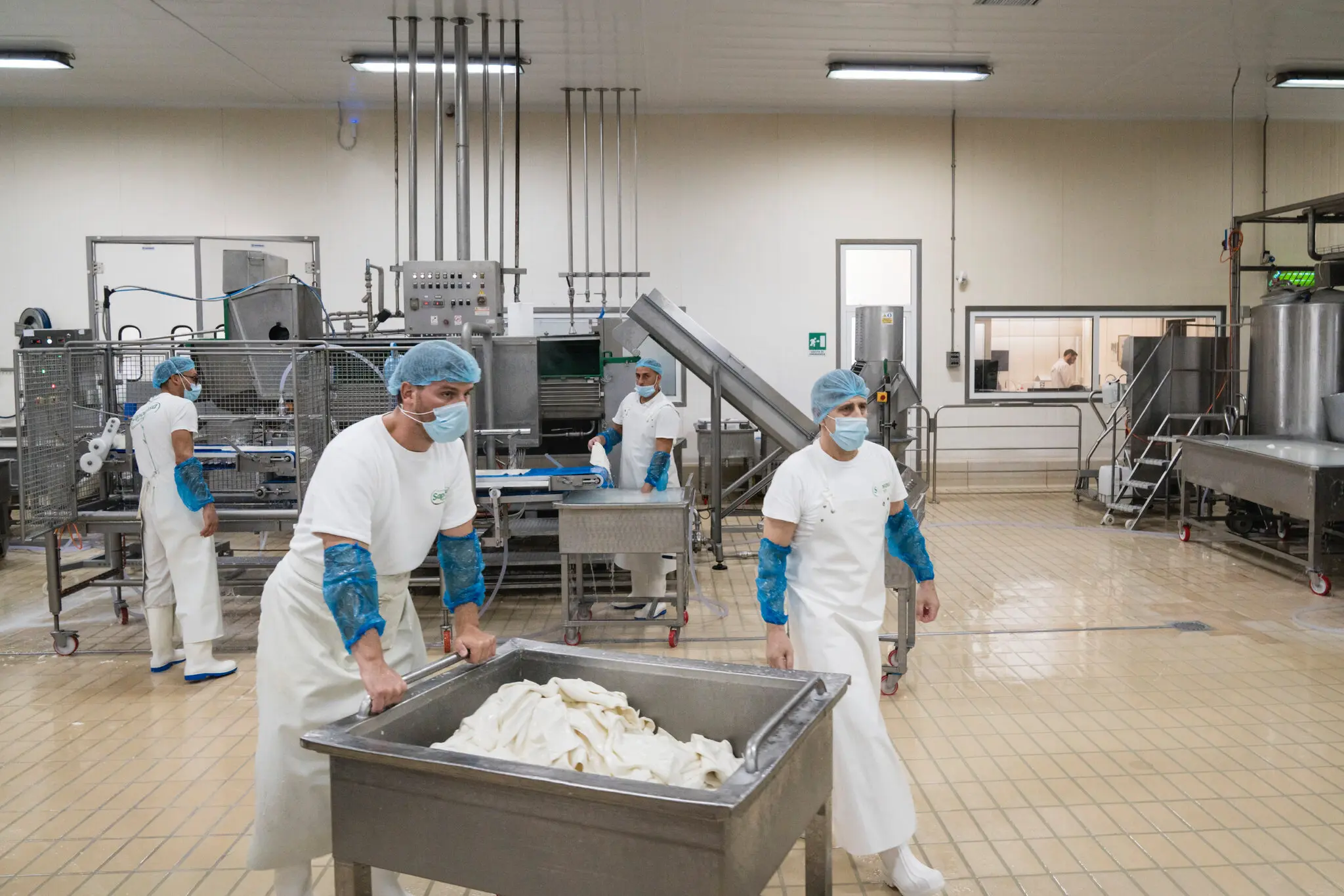 Кліматичні зміни б’ють по італійських коровах і загрожують майбутньому буррати